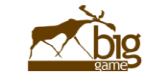 Логотип компании «Mybiggame»
