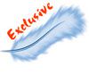 Логотип компании «Exclusive»