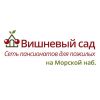 Логотип компании «ЧАСТНЫЙ ДОМ ПРЕСТАРЕЛЫХ ВИШНЕВЫЙ САД МОРСКАЯ НАБЕРЕЖНАЯ»