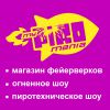 Логотип компании «ПИРОМАНИЯ, МАГАЗИН ФЕЙЕРВЕРКОВ»