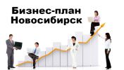 Логотип компании «БИЗНЕС-ПЛАН-НОВОСИБИРСК ТЭО»