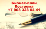 Логотип компании «БИЗНЕС-ПЛАН КОСТРОМА ТЭО»