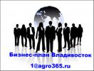 Логотип компании «БИЗНЕС ПЛАН ВЛАДИВОСТОК ТЭО»