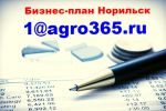 Логотип компании «БИЗНЕС-ПЛАН-НОРИЛЬСК ТЭО»