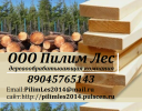 Логотип компании «ПИЛИЬ ЛЕС»