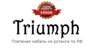Логотип компании «ОРИОН ГРУП»
