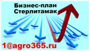 Логотип компании «БИЗНЕС-ПЛАН В СТЕРЛИТАМАКЕ»