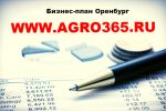Логотип компании «БИЗНЕС-ПЛАН В ОРЕНБУРГЕ»