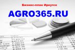 Логотип компании «БИЗНЕС-ПЛАН В ИРКУТСКЕ»