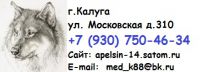 Логотип компании «АПЕЛЬСИН»