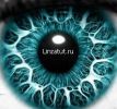 Логотип компании «ЛинзаТут (linzatut.ru)  - Интернет-магазин контактных линз, очков, бытовой оптики и аксессуаров»