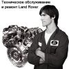 Логотип компании «Land rover shop - сервис и ремонт ленд ровер, а так же оригинальные и неоригинальные запчасти land rover» Логотип компании «Land rover shop - сервис и ремонт ленд ровер, а так же оригинальные и неоригинальные запчасти land rover»