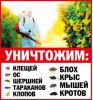Логотип компании «Сэс-про»