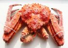 Логотип компании «Море крабомагазин морепродуктов»