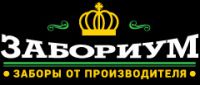 Логотип компании «Забориум»