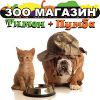 Логотип компании «Тимон+Пумба - Товары для животных с доставкой»