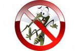Логотип компании «Евродизайн»