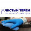 Логотип компании «Чистый терем»