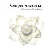 Логотип компании «Секрет Чистоты - клининговая компания»
