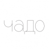 Логотип компании «Архитектурная студия чадо»