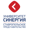 Логотип компании «Университет синергия (ское представительство)»