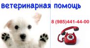 Логотип компании «Ветеринарная клиника нахимовский - Ветеринарная клиника »
