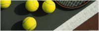 Логотип компании «Школа тенниса на Васильевском - Tennis Style»