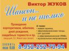 Логотип компании «,,шансон и не только»