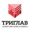 Логотип компании «ТРИГЛАВ, Агентство консалтинга/юридическая компания - Юридическая компания»