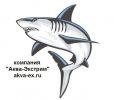 Логотип компании «"Аква-Экстрим"»