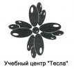 Логотип компании «Учебный центр тесла»
