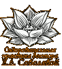 Логотип компании «Оздоровительная практика доктора Е.Л.Соболевой - Медицинский центр»