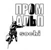Логотип компании «Промальп»