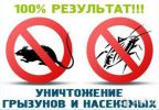 Логотип компании «ООО «Санитарная обработка» - Санитарная обработка»