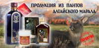 Логотип компании «Кладовая природы - Интернет магазин в г. Белокуриха»