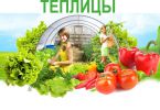 Логотип компании «Силента - Поликарбонат»