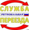 Логотип компании «Многопрофильная организация медведь»