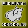 Логотип компании «Шиншилловая ферма»