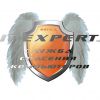Логотип компании «Служба компьютерной помощи IT-Expert - Компьютерный сервис с выездом»