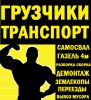 Логотип компании «ООО Грузчики 36 - Услуги профессиональных грузчиков в Воронеже»