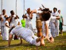 Логотип компании «Академия капоэйры Arte de gingar - So capoeira - тренировки для детей »