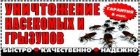 Логотип компании «АльфаБыт - Дезинсекция»