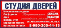 Логотип компании «СТУДИЯ ДВЕРЕЙ - Магазин дверей»