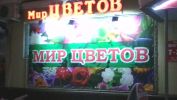 Логотип компании «Мир цветов - розничная торговля срезанными цветами»