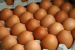 Логотип компании «ИП Теклин А.А. - Оптовая продажа яиц»