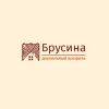 Логотип компании «Брусина»