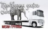 Логотип компании «ООО "Слоновоз"»