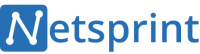 Логотип компании «Netsprint»