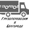 Логотип компании «Скороход»