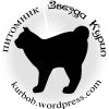 Логотип компании «Звезда Курил»